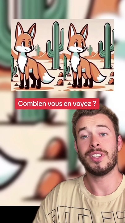 Combien vous en voyez ? (Exclu Dailymotion)