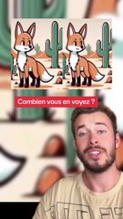 Combien vous en voyez ? (Exclu Dailymotion)