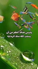 اللهم يا مقلب القلوب ثبت قلوبنا على دينك