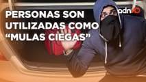 Cuidado con las mulas ciegas, utilizan personas para esconden droga y migrantes en vehículos