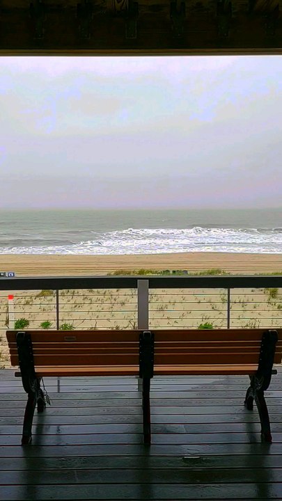 If we confess our sins, he is faithful and just to forgive us our sins, and to cleanse us from all unrighteousness.1 John 1:9 - KJV