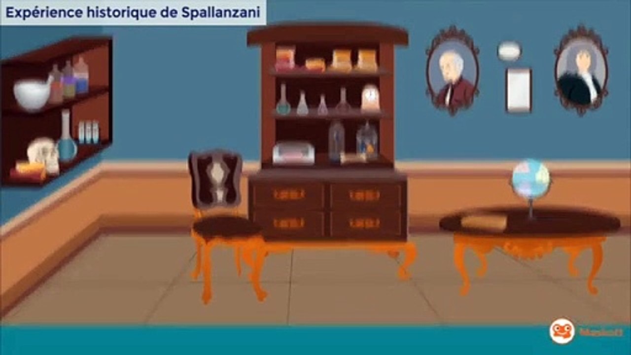 Spallanzani  experience sur la digestion