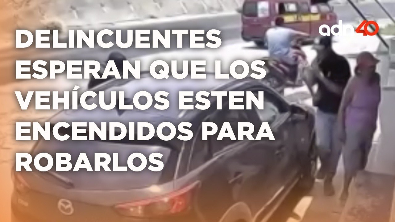 ¿Cuál es el promedio diario de vehículos robados en el país durante el último año?