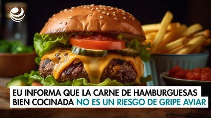 EU informa que la carne para hamburguesas bien cocinada no es un riesgo de gripe aviar