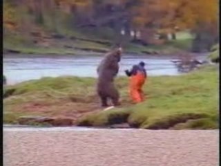 bagarre entre un homme et d'un ours