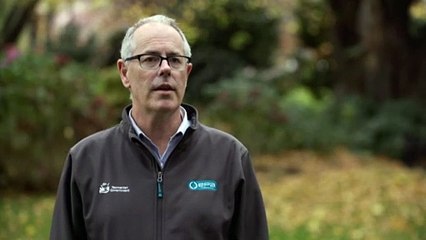 Tasmania's maugean skate still at the threat of extinction, as salmon farms continue to operate in its only known habitat