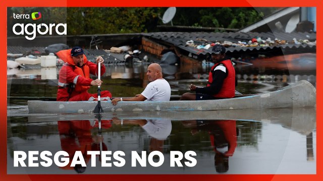 Voluntários se arriscam para salvar pessoas e animais; Conheça as histórias