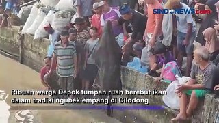 Ribuan Warga Depok Berebut Tangkap Ikan dalam Tradisi Ngubek Empang