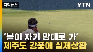 [자막뉴스] 눈물 나는 골프공...태풍급 강풍에 프로들도 '추풍낙엽' / YTN