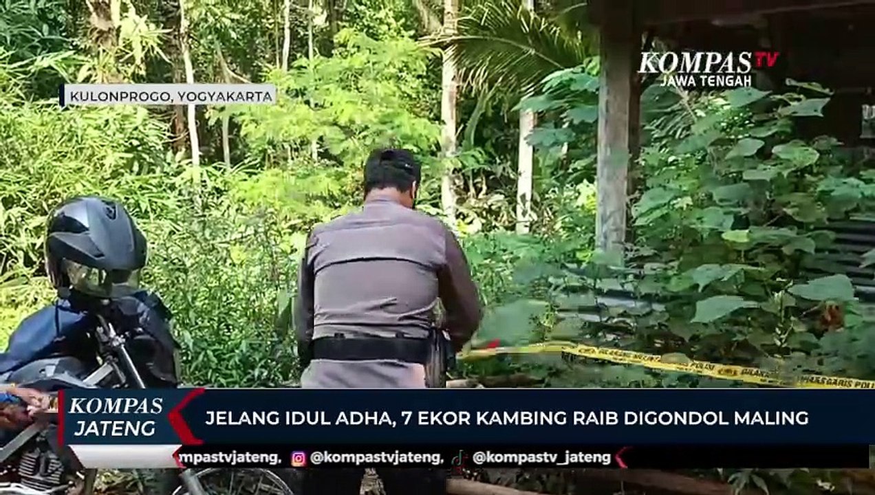Jelang Idul Adha, 7 Ekor Kambing Raib Digondol Maling