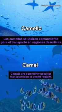 APRENDE INGLES FACIL Y RAPIDO: Camello/Camel