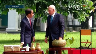 Momen Jokowi Sopiri Gubernur Jenderal Australia David Hurley Keliling Kebun Raya Bogor