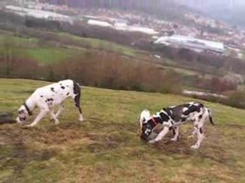 ballade sur la colline aux moutons