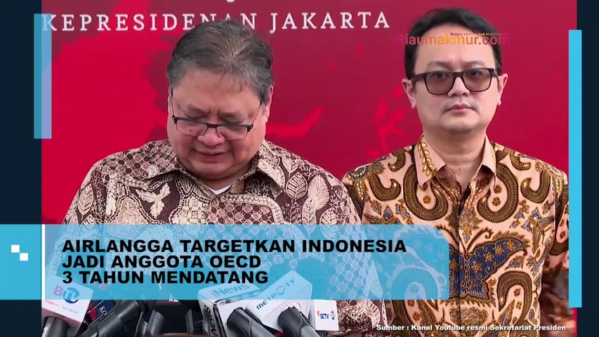 Airlangga Targetkan Indonesia Jadi Anggota OECD 3 Tahun Mendatang