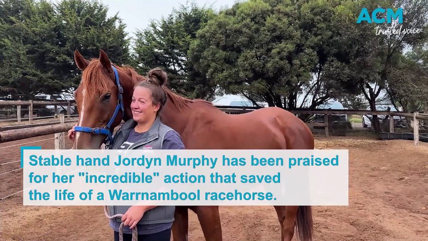 Stable hand Jordyn Murphy has been praised for her "incredible" action that saved the life of a Warrnambool racehorse.