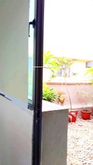 Modern Coworking Space in Noida