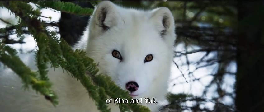 Kina & Yuk - Trailer (English Subs) HD