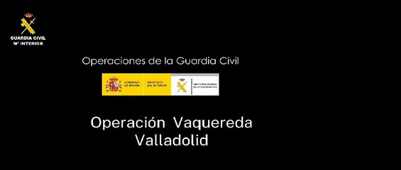 Un detenido en Valladolid y dos investigados más por cinco estafas con las que se apropiaron de 20.000 euros