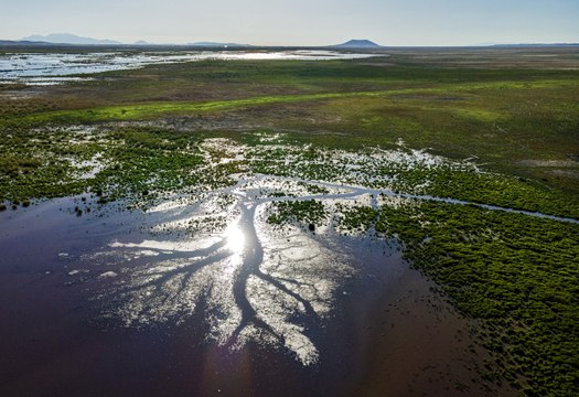 Ereğli Akgöl tabiatı koruma alanı: Muhteşem drone görüntüleri!