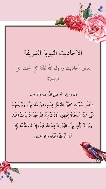 بعض أحاديث رسول اللّٰه ﷺ التي تحث على الصلاة وعدم ترك الصلاة