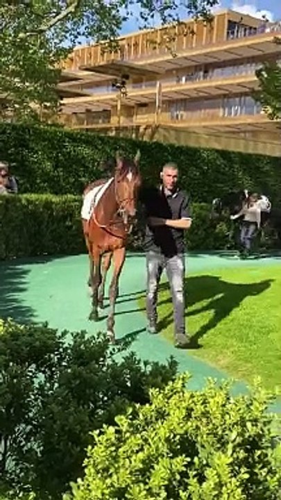 J'ai découvert les coulisses de l'Hippodrome ParisLongchamp. Défilé de chevaux avant les courses.