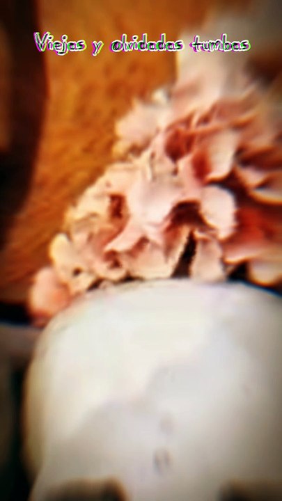 Viejas y olvidadas tumbas, en algún cementerio