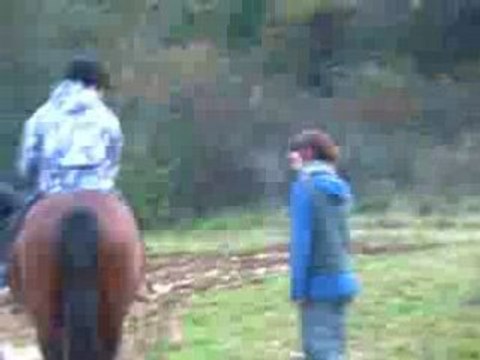 promenade dans les bois