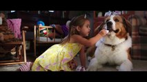 Mes Autres Vies de Chien Bande-annonce (DE)