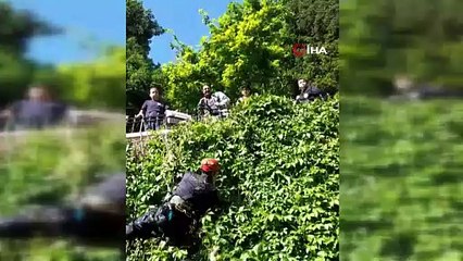 Bursa'da kedi kurtarma operasyonu