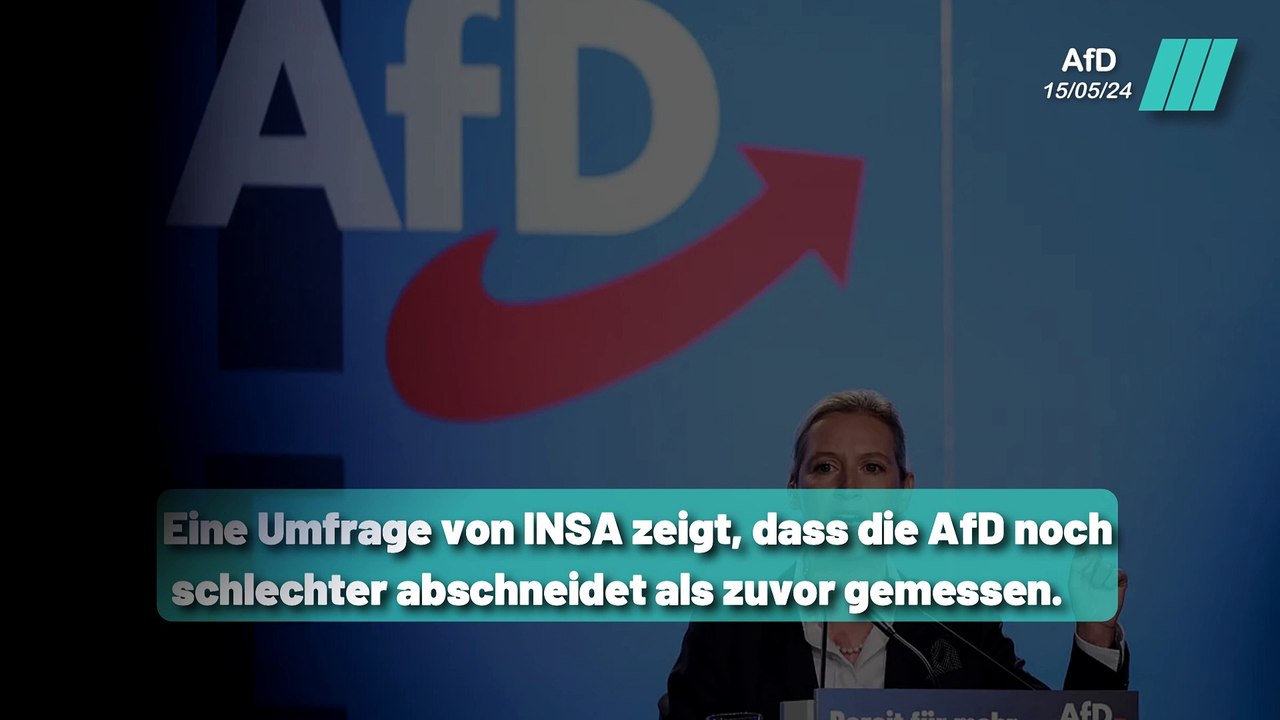 Der Absturz der AfD: Was ist seit Anfang des Jahres passiert ?