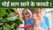 Malabar Spinach Benefits In Hindi: Poi Saag Khane Ke Fayde, Osteoporosis से लेकर Face Glow | Boldsky