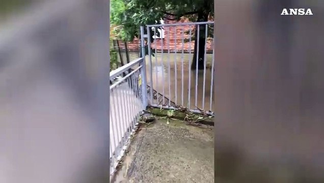 Maltempo in Veneto, l'Avenale rompe gli argini: allagamenti a Castelfranco