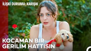 Köpek Seni Isırdıysa Ne Olmuş Yani - İlişki Durumu Karışık