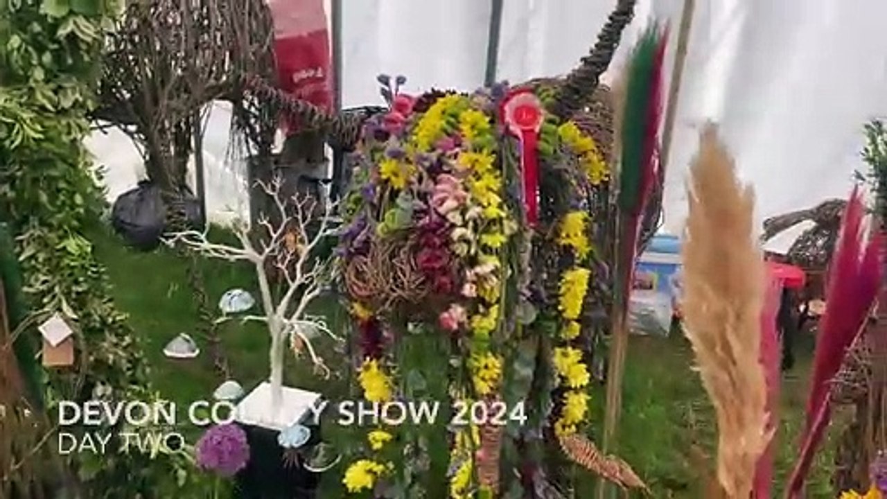 A day at the Devon County Show 2024