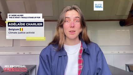 ¿Qué haría si yo fuera eurodiputado... respecto a la energía?