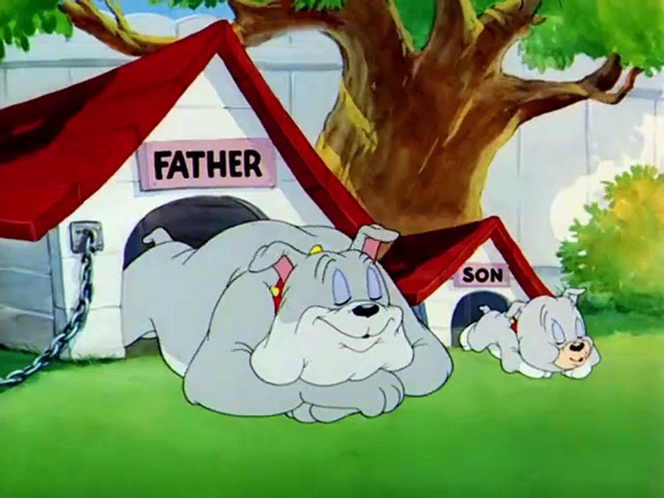 Tom & Jerry (1940) - S1940E44 - Love That Pup