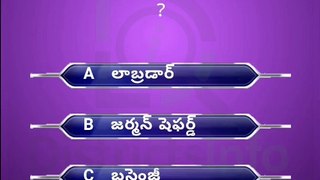 Interesting Questions Telugu