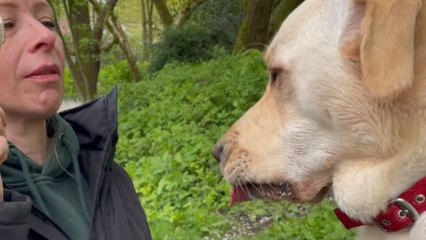 Loyal Dog's Craving for Milk Sparks Unexpected Adventure 🐶🥛