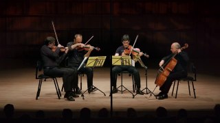 Wald:Sinfonie - Trailer (Deutsche UT) HD