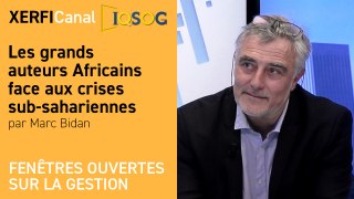 Les grands auteurs Africains face aux crises sub-sahariennes [Marc Bidan]