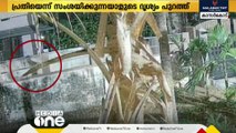 10 വയസുകാരിയെ തട്ടിക്കൊണ്ടുപോയി പീഡിപ്പിച്ച കേസ്; പ്രതിയെന്ന് സംശയിക്കുന്നയാളുടെ CCTV ദൃശ്യങ്ങൾ