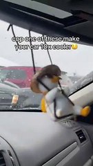 School Bag Straw Swing Duck Car Hanging Ornament