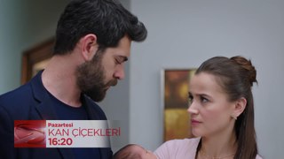 Kan Çiçekleri 320. Bölüm Fragmanı (20 Mayıs Pazartesi)