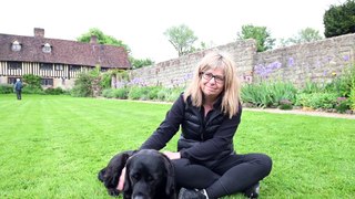 Former guide dog has £5k operation to stop her from going blind