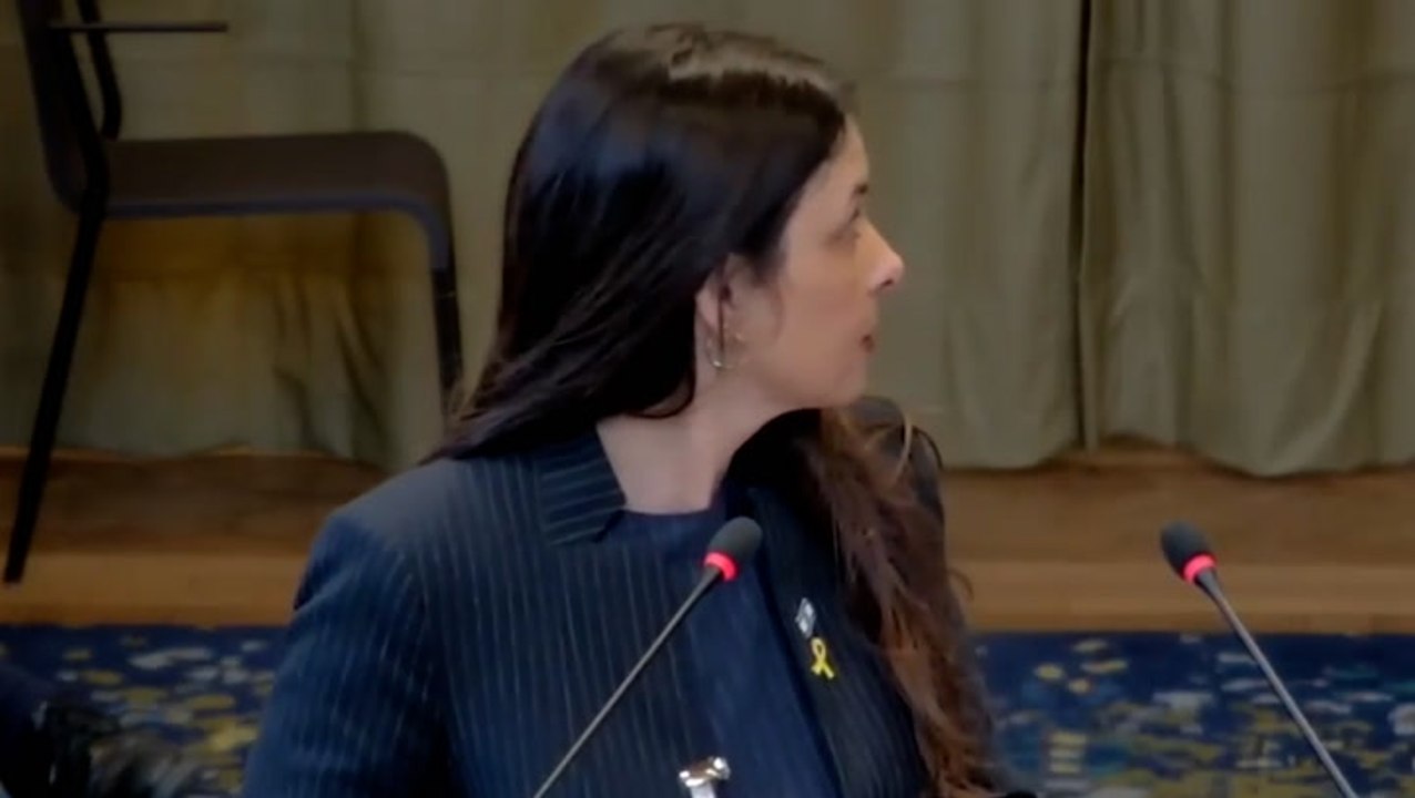 ‘Liars’: Heckler interrupts Israeli official at International Court of Justice