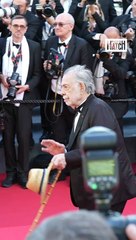 Cannes : la montée des marches de "Megalopolis"