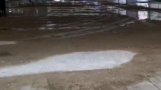 carpa inundada