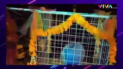 Thailand Pakai Boneka Doraemon Dalam Ritual Minta Hujan