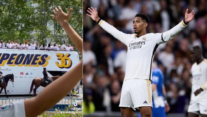 Full Tracks of Belligham Horizontal Subtitles 🎥