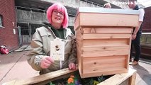 Caz Barratt explains why beehives are being placed on the roof of a car park in Stourbridge.